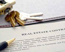 Limited liability company