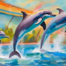 Dauphins